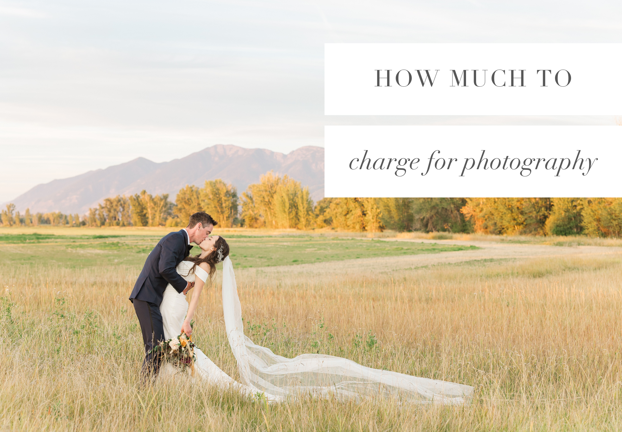 HOW MUCH TO CHARGE FOR WEDDING PHOTOGRAPHY